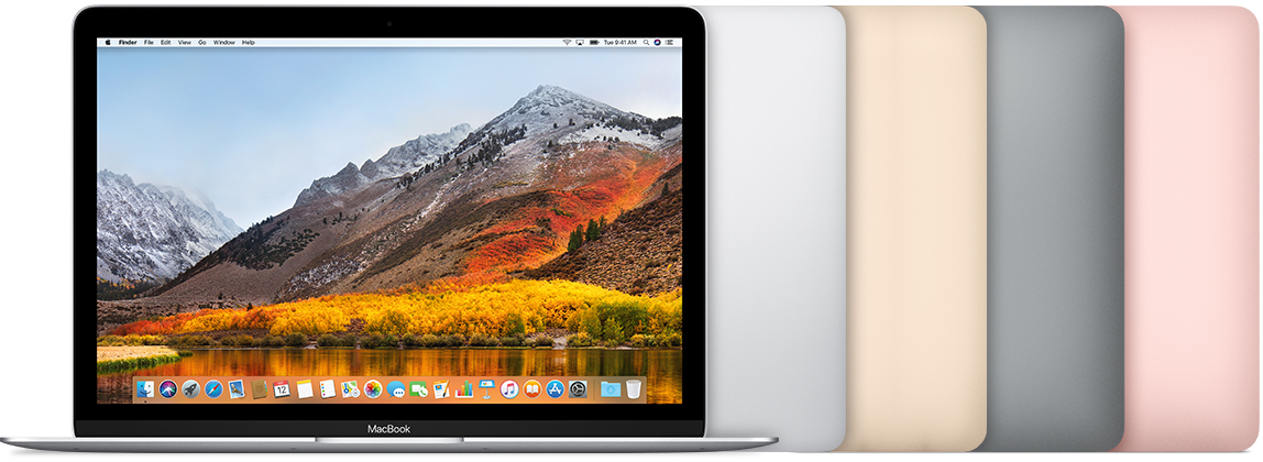 Apple MacBook (Retina, 12" Early 2016) 6